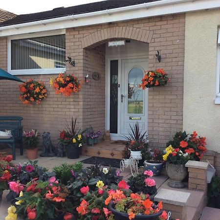 Lowefield B&B Stirling Exterior photo