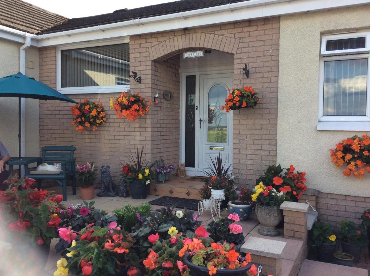 Lowefield B&B Stirling Exterior photo